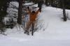 Seth with perfect form!